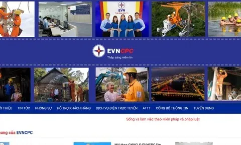 Công ty Điện lực Quảng Ngãi bị chỉ ra tồn tại trong quản lý, cung cấp thông tin trên môi trường mạng