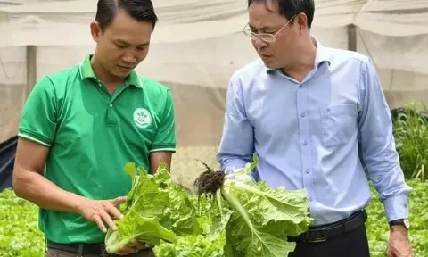 Chính sách dựa trên bằng chứng và kết nối từ địa phương đến khu vực trong tiến trình chuyển đổi nông nghiệp sinh thái tại Đồng bằng sông Hồng