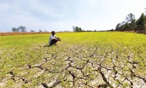 Chủ động ứng phó nguy cơ thiếu nước do ảnh hưởng của El Nino