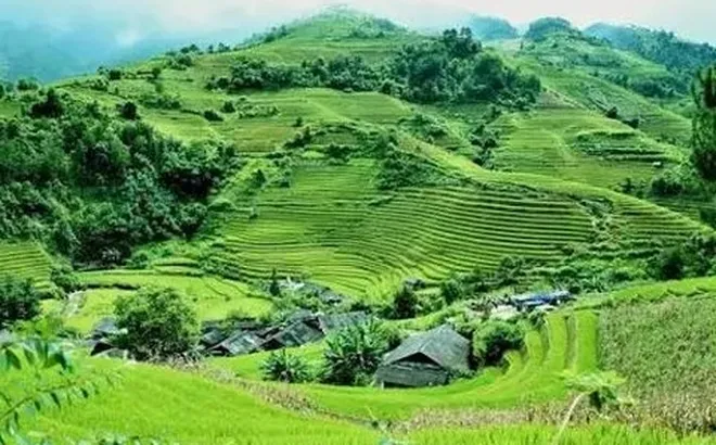 Cơ sở lý luận, thực tiễn và định hướng chiến lược của Đảng về phát triển nông nghiệp sinh thái, xanh và tuần hoàn