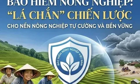 Bảo hiểm nông nghiệp: Giải pháp chiến lược cho nền nông nghiệp tự cường và bền vững