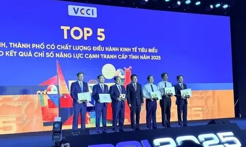 Lần đầu tiên công bố Chỉ số Hiệu quả Kinh tế tư nhân: TPHCM dẫn đầu