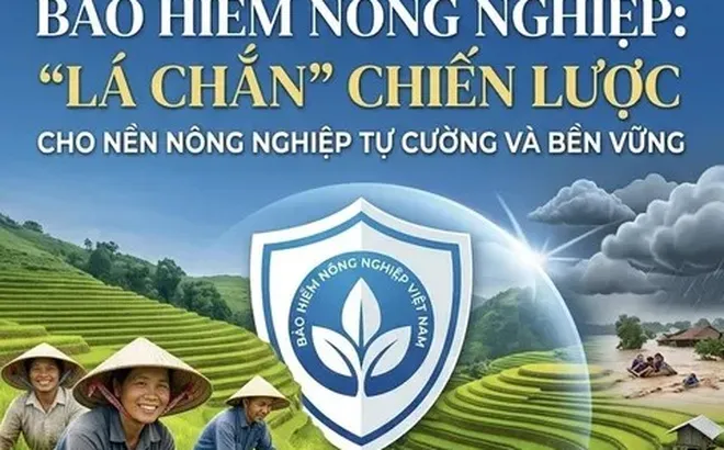 Bảo hiểm nông nghiệp: Giải pháp chiến lược cho nền nông nghiệp tự cường và bền vững